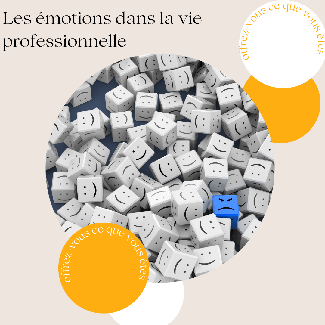 emotions_au_quotidien