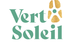 VertSoleil_Logo_GreenAndGold